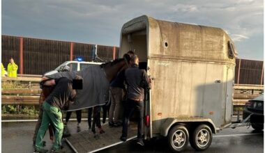 POL-PDNW: Polizeiautobahnstation Ruchheim - Verletztes Pferd verursacht Vollsperrung ...