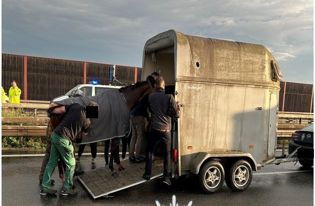 POL-PDNW: Polizeiautobahnstation Ruchheim - Verletztes Pferd verursacht Vollsperrung ...