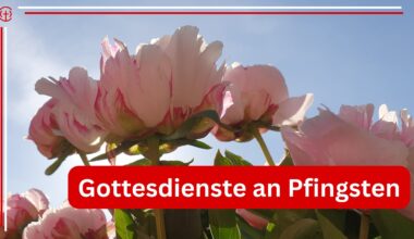 You are currently viewing Pfingsten in Köln und Region – evangelische Kirchengemeinden laden ein