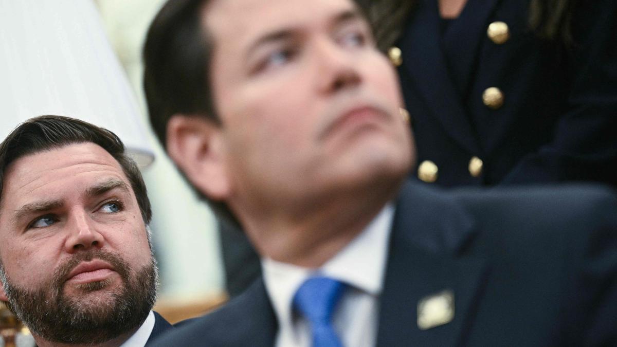 Vance, Rubio, Musk: Die Deutschland-Obsession im Trump-Lager wird für Merz zum Problem