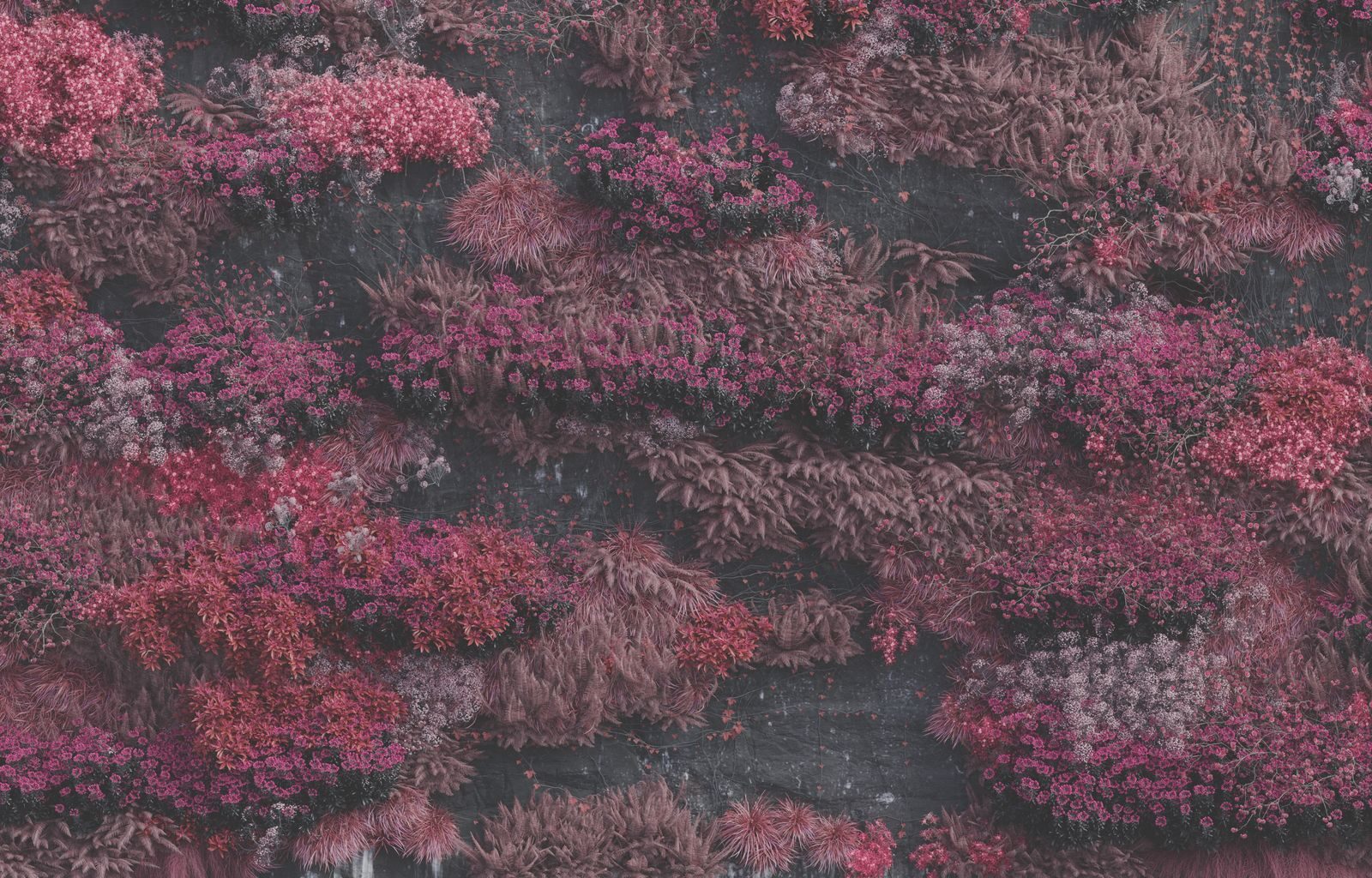 Sleep Token - Even In Arcadia