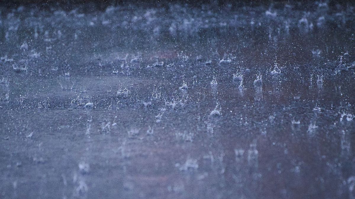 Berlin & Brandenburg: Unwetterschäden in Berlin zurückgegangen