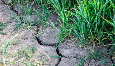 Niedersachsen & Bremen: Wegen der Trockenheit: Aufruf zu sparsamem Wasserverbrauch