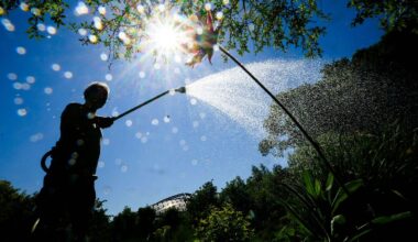 Niedersachsen & Bremen: Region Hannover schränkt Bewässerung im Sommer erneut ein