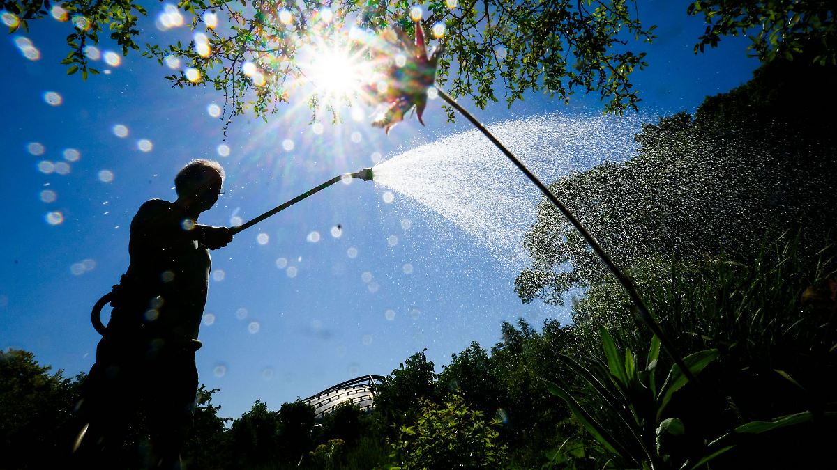 Niedersachsen & Bremen: Region Hannover schränkt Bewässerung im Sommer erneut ein