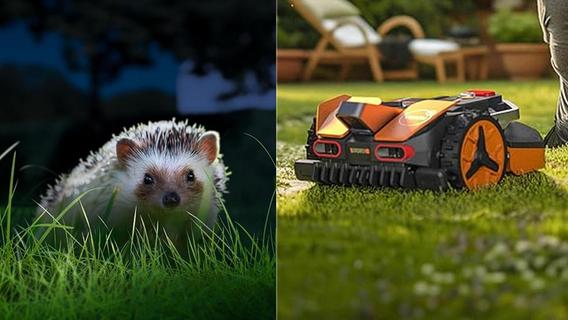 Worx nie günstiger – kurz 200€ sparen: KI-Mähroboter ohne Begrenzungskabel Vison M800 mit Igelschutz