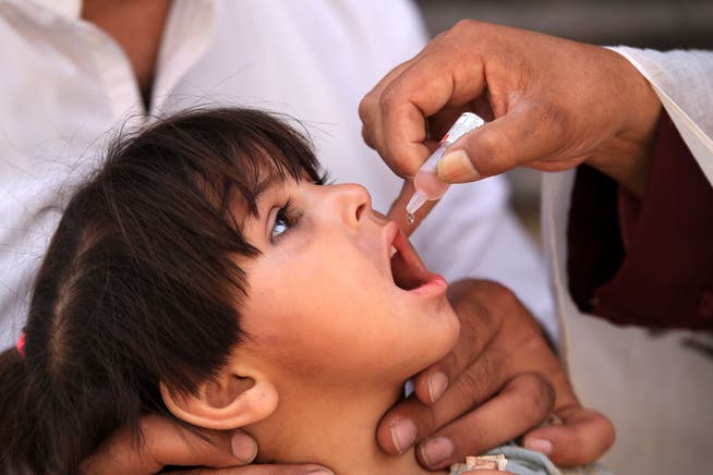 In Afghanistan und Pakistan kommt es immer wieder zu neuen Polio-Erkrankungen. In Peshawar, Pakistan, wird ein Kind im April gegen Polio geimpft.