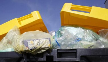Müll: München bekommt 2027 die gelbe Tonne - München