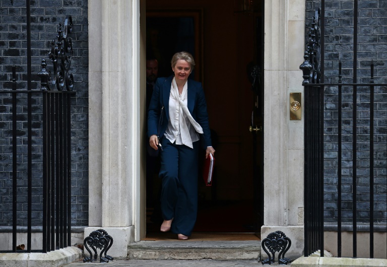Die britische Regierung will verstärkt Straftäter abschieben und die Voraussetzungen für Arbeitsvisa verschärfen, um die Einwanderungszahlen zu senken. "Die Nettozuwanderung muss sinken", schrieb Innenministerin Cooper im "Sunday Telegraph". (HENRY NICHOLLS)