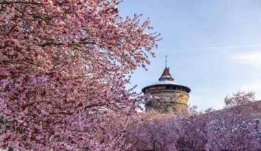 Wohl Kälterekord bei –6 Grad – wann kommt der Sommer?