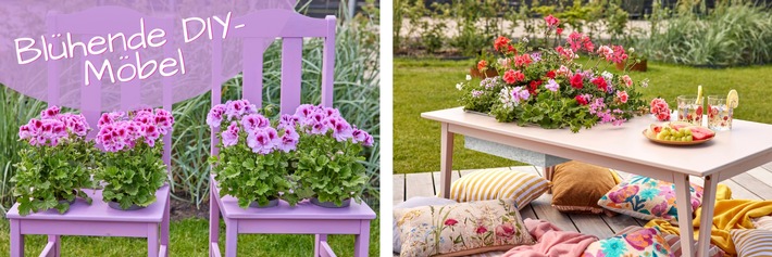 Außenbereiche kreativ und individuell gestalten: Blühende DIY-Möbel mit Geranien