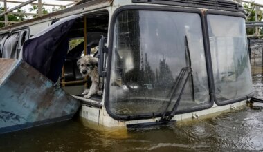 Ukraine: Realität des Krieges und der Suche nach Frieden - Meinung