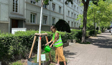 Wasser für Stadtbäume: Hilfe der Anwohnerinnen und Anwohner ist gefragt