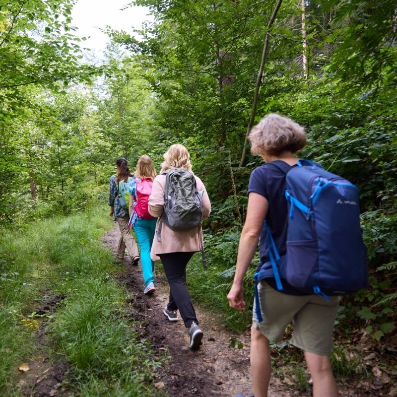Bergische Wanderwoche: Auch Touren in Wuppertal