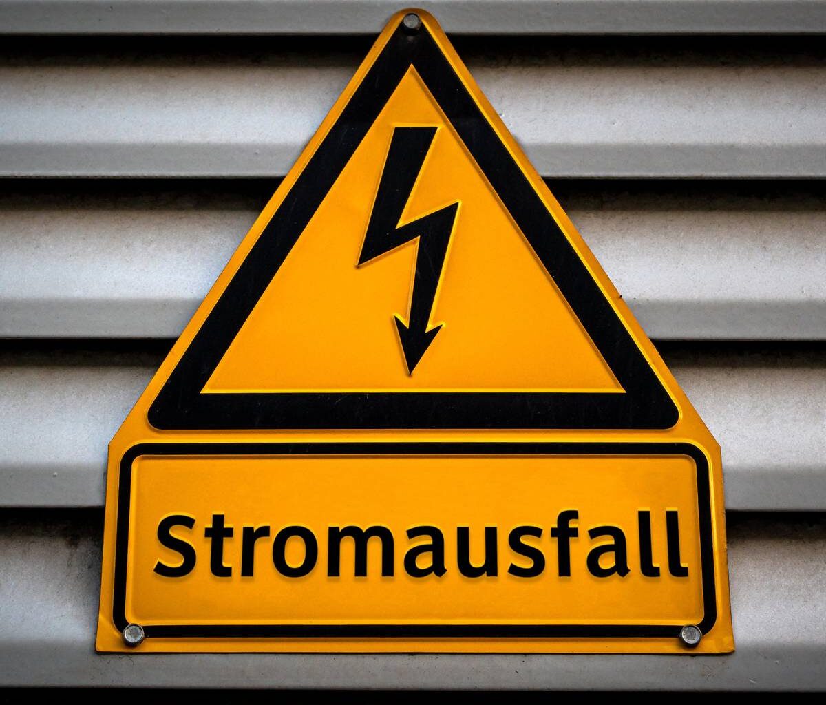 10.000 Haushalte betroffen: Marder sorgt für Stromausfall