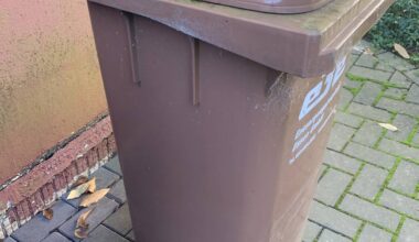 Duisburg startet große Biotonne-Kampagne - Radio Duisburg