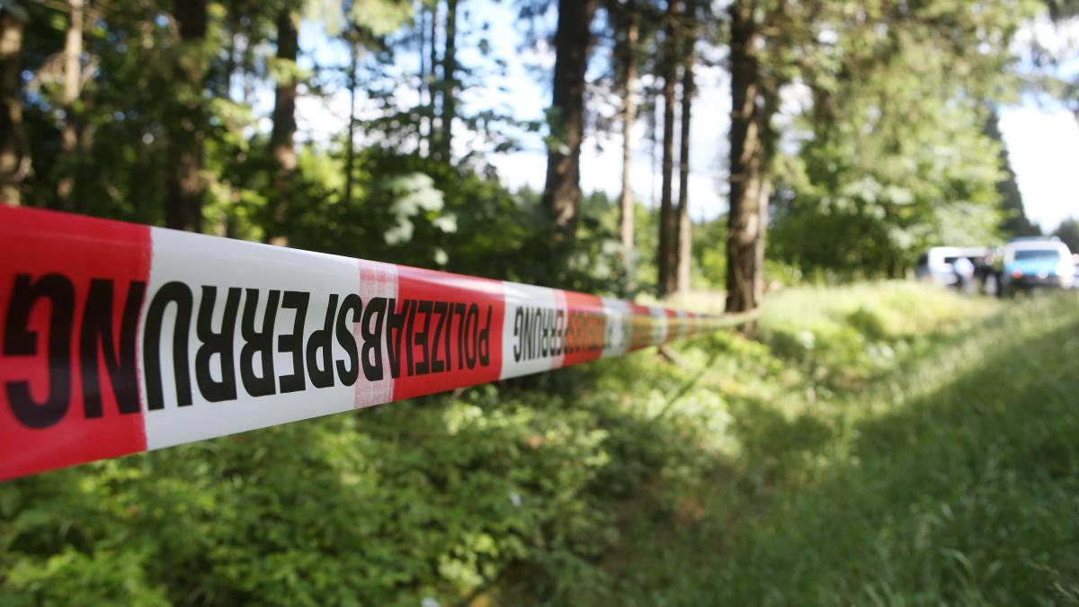 Toter Esel in Wald in Bielefeld gefunden