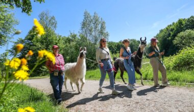 Tag des Wanderns - Von wegen langweilig: Ideen gegen den Wander-Frust - Panorama