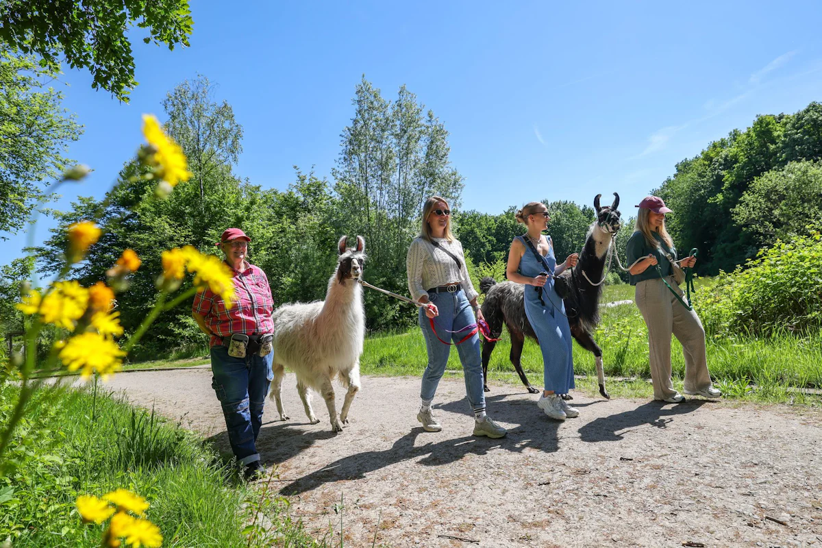 Tag des Wanderns - Von wegen langweilig: Ideen gegen den Wander-Frust - Panorama