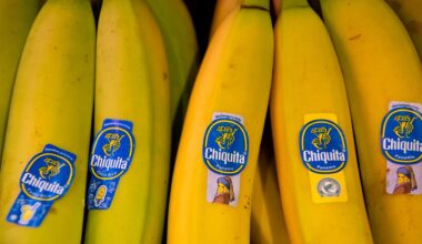 Nach Streik: Chiquita will Tausende Arbeiter in Panama entlassen
