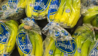 Chiquita: Bananenriese entlässt Tausende Mitarbeiter