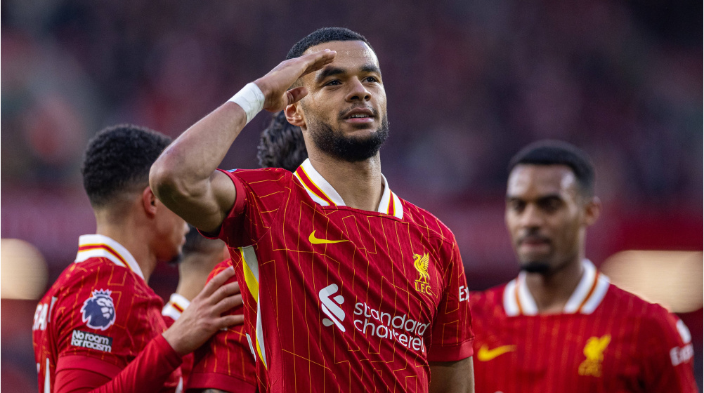 FC Bayern: Auch Cody Gakpo von Liverpool auf der Liste