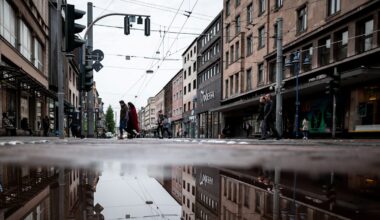 Migration: „Herr Lindner! Sie müssen was tun! Die Ratten kommen abends in ganzen Armeen!“