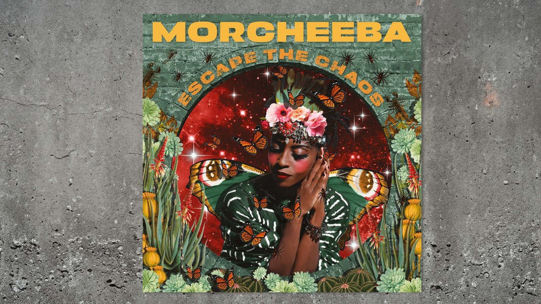 Glatt und verträumt: Neues Album "Escape The Chaos" von Morcheeba | NDR.de - Kultur - Musik
