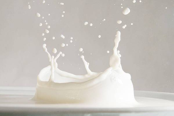 Bonn | Hype-Getränk: Wer besser keine Rohmilch trinken sollte