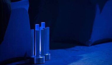 Berlin | «Enshrouded» als bestes deutsches Computerspiel geehrt