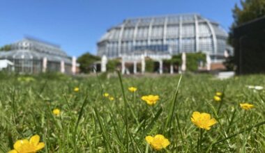 Botanischer Garten Berlin: Artenvielfalt mal anders entdecken