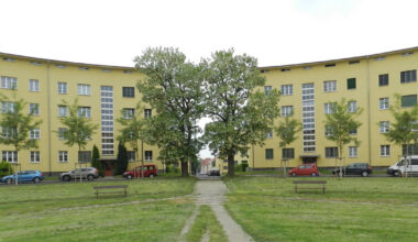 Siegfriedplatz erhält eine Blühwiese - Stadt Leipzig