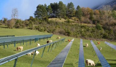 Uni Bonn: Agrivoltaik genießt hohe Akzeptanz