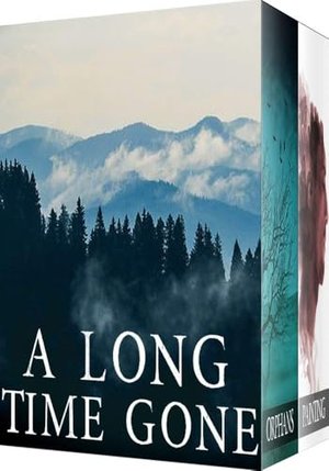 A Long Time Gone: Ein fesselndes Kleinstadtkrimi über eine Entführung