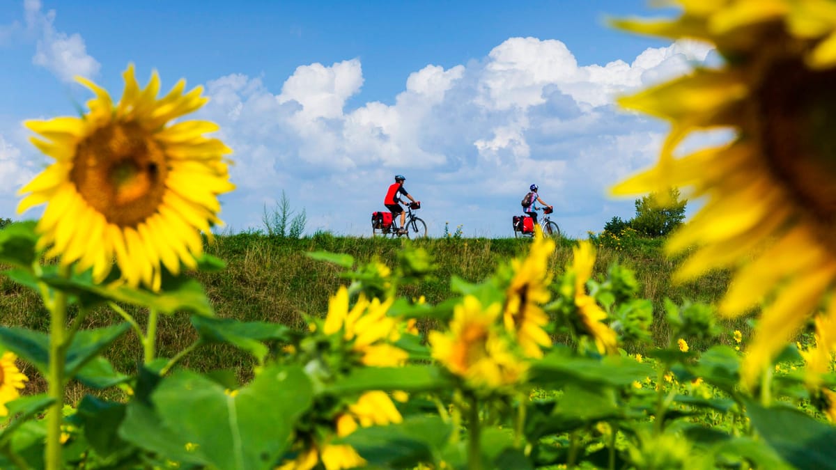 Hier erleben Sie die schönsten Radtouren rund um die Hansestadt