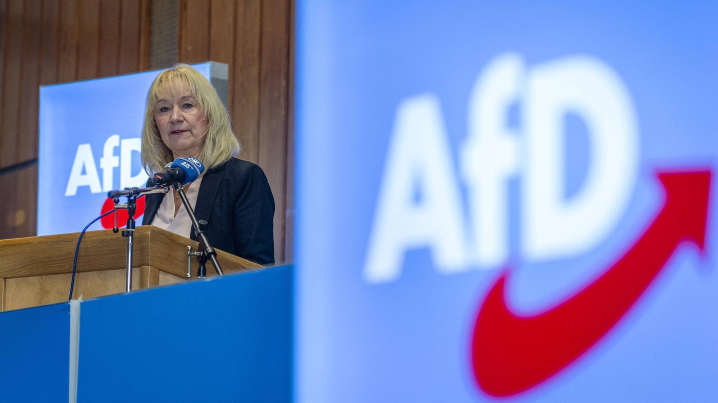Scharfmacherin Christina Baum: Die Schlüsselfigur des AfD-Gutachtens - Tagesspiegel