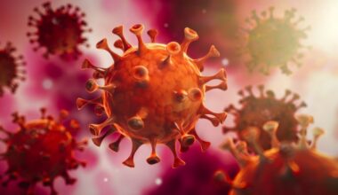 Corona-Zahlen in Düsseldorf aktuell: Wie ist die Intensivbetten-Auslastung im Landkreis?