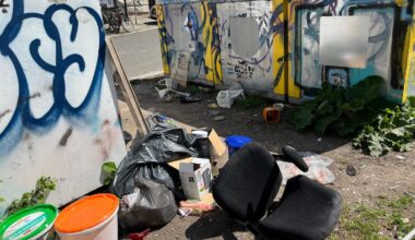 Teile der Südstadt versinken im Müll – Ratten und Mäuse angezogen