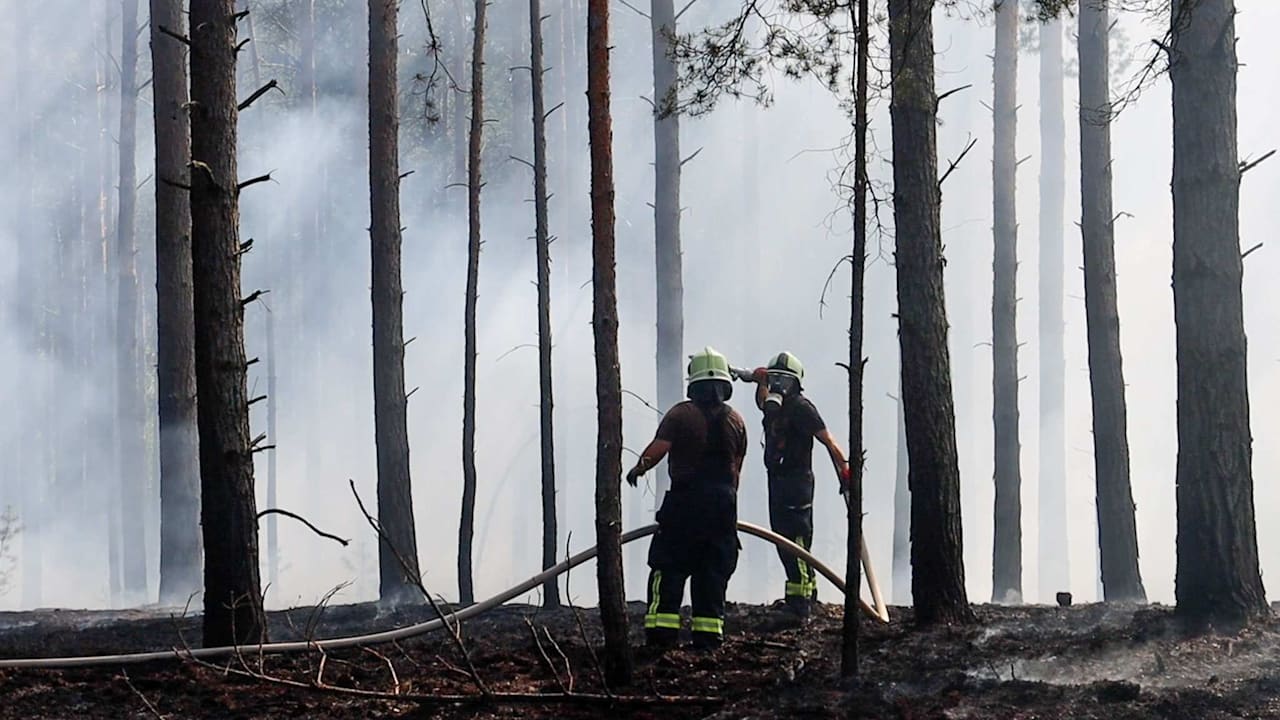 Dürre in Deutschland: Erster Waldbrand in Brandenburg - Kiefern brennen | Regional