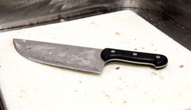 Polizei stoppt aggressive Frau mit Fleischermesser