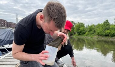 Zwischen Algen und Bakterien: Dresdner Forscher untersuchen Mikroplastik in der Elbe