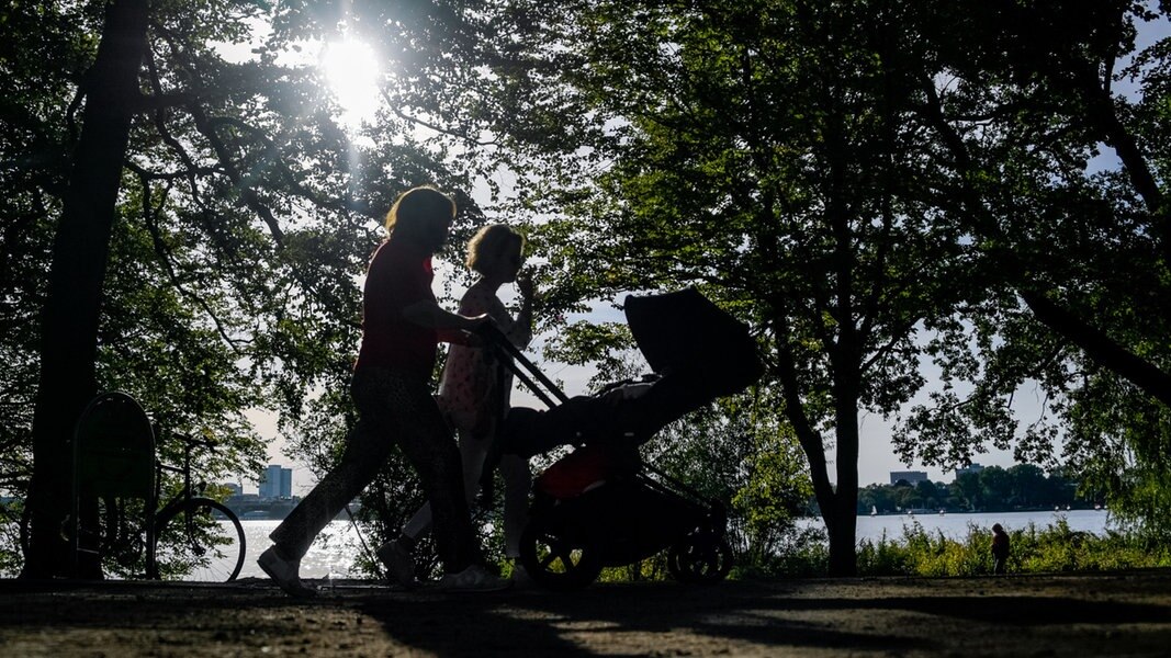 Hamburg-Eimsbüttel: Eltern demonstrieren wegen Elterngeld | NDR.de - Nachrichten