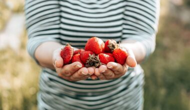 Erdbeeren: 5 gute Gründe für das gesunde Superfood