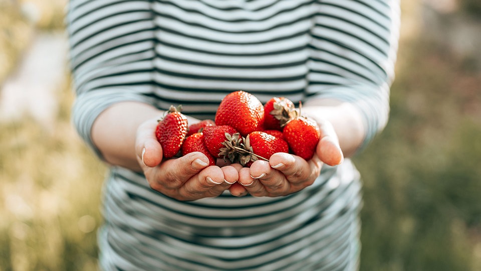 Erdbeeren: 5 gute Gründe für das gesunde Superfood
