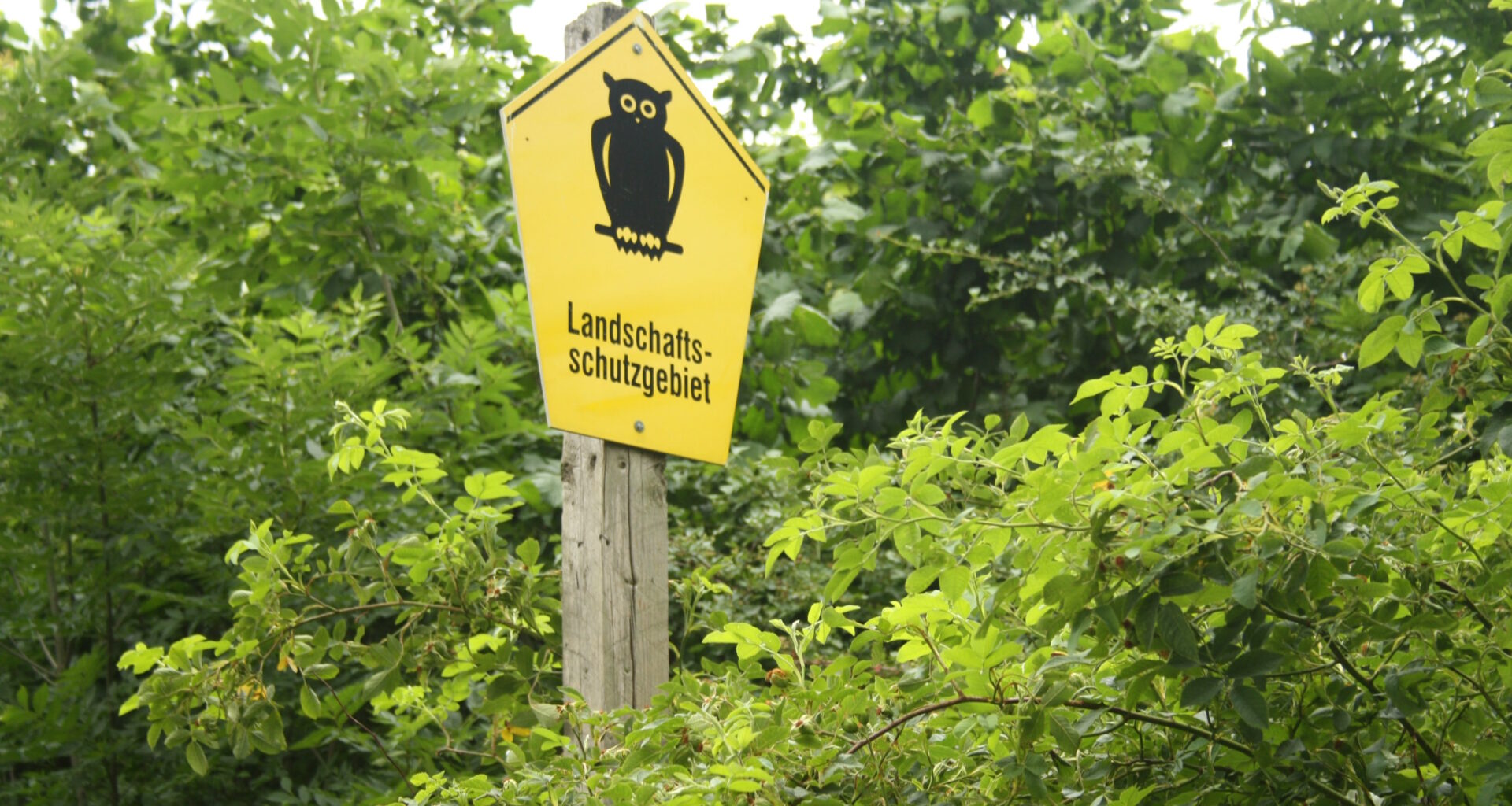 Naturschutzverbände fordern mehr Platz für die Natur · Leipziger Zeitung