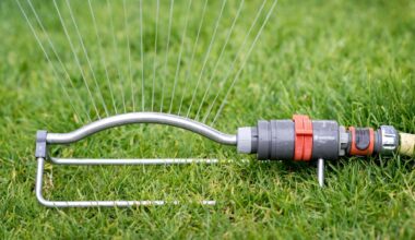 Hannover: Rasensprengen verboten! Strenge Wasserregeln bei Hitze | Politik
