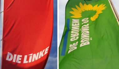 Mitglieder-Boom bei Bremer Grünen und Linken – auch AfD wächst