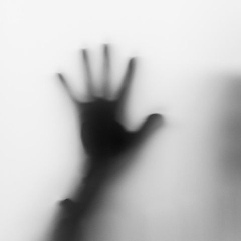 Sebastian Fitzek Bücher: Ein Mann blättert in den Seiten eines Buches.