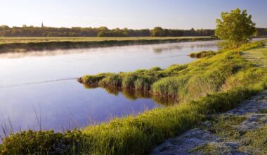 Ausflug ab Hannover: Naturparadies Mittelweser ist Geheimtipp