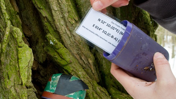 Eine Frau versteckt einen Geocache-Behälter in einem Baumstamm. © picture alliance / dpa | Foto: Patrick Pleul